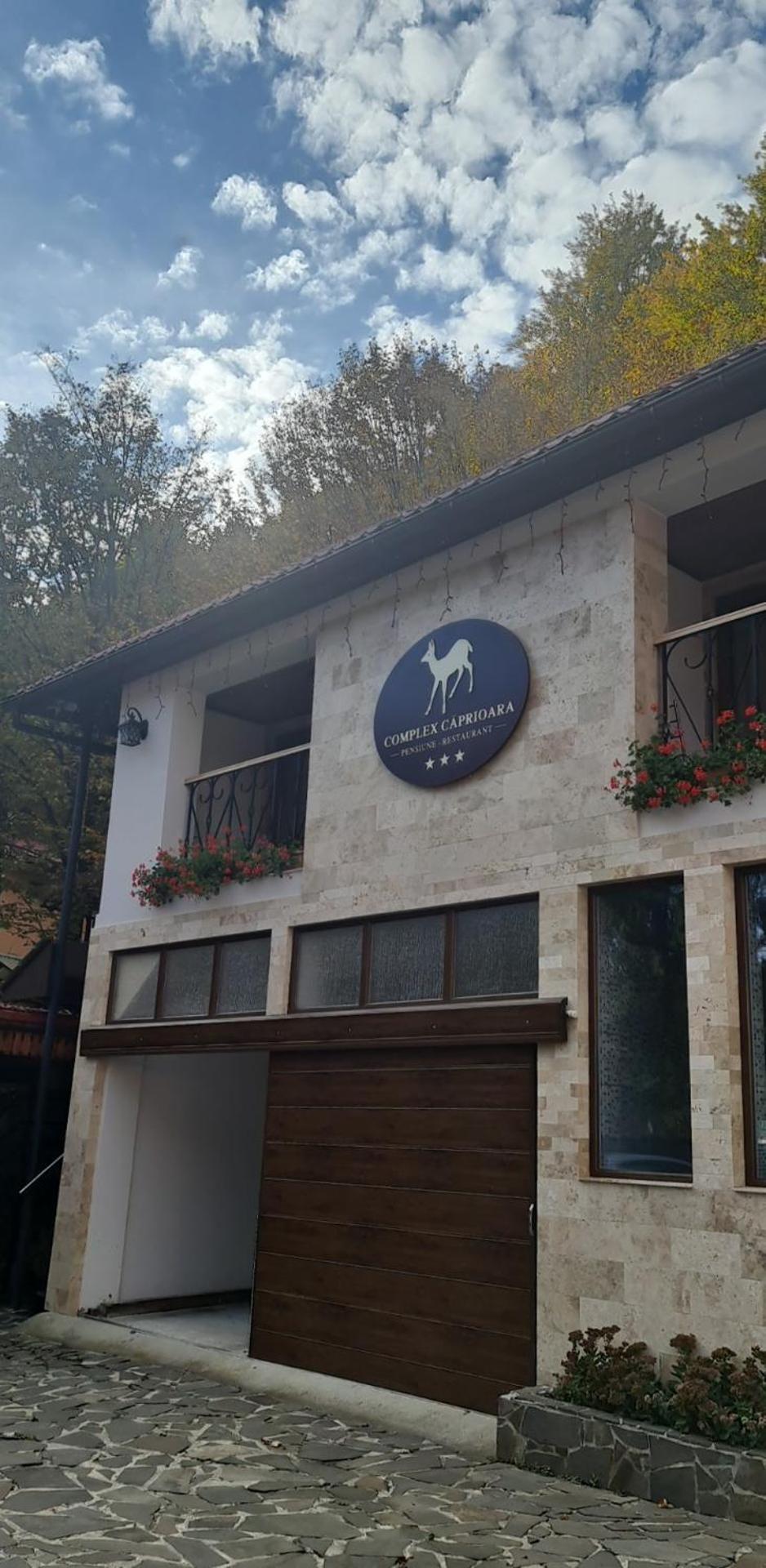 Hotel Complex Turistic Caprioara Baia Mare Exterior foto
